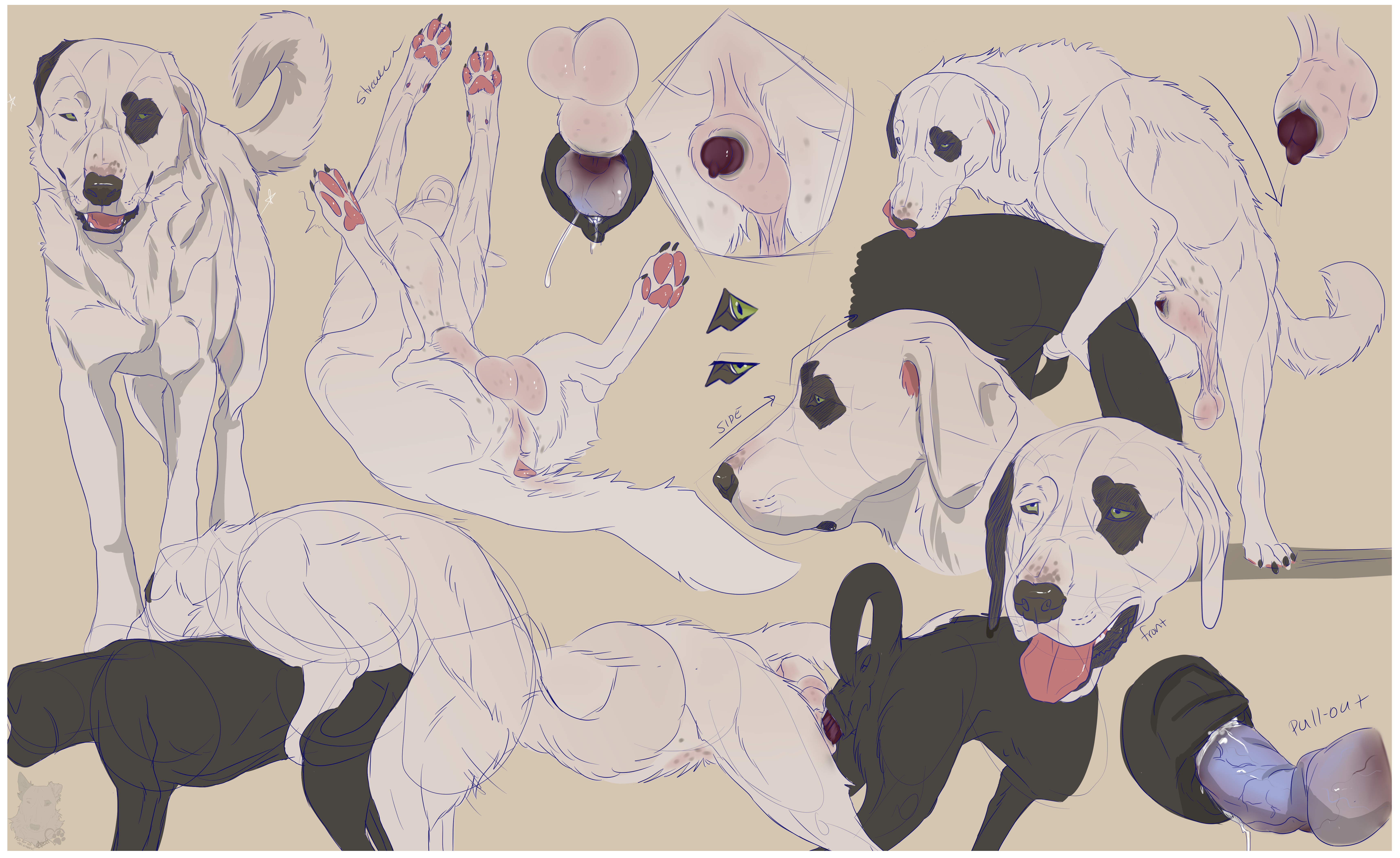 Digital Drawing (Artwork) Rule 34 Image