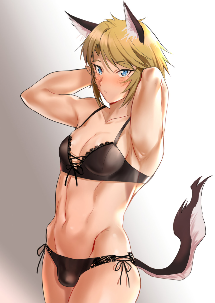 Link (Nintendo) Rule 34 Image