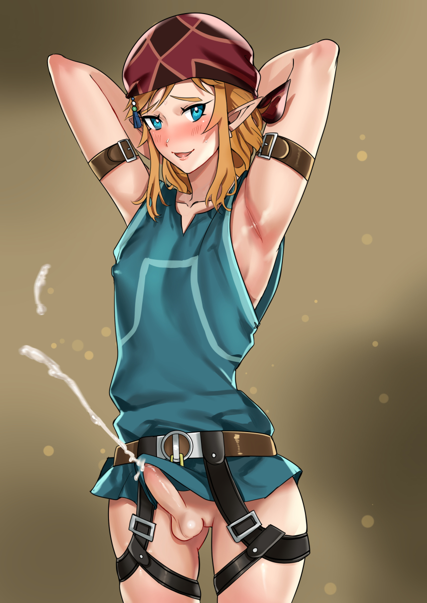 Link (Nintendo) Rule 34 Image