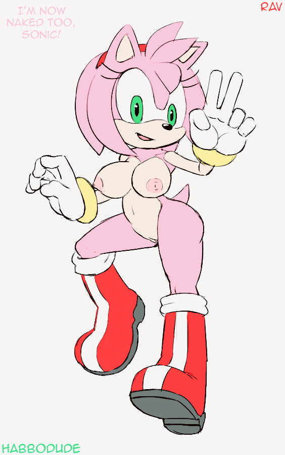 Amy Rose (Sonic (Series)) Rule 34 Image