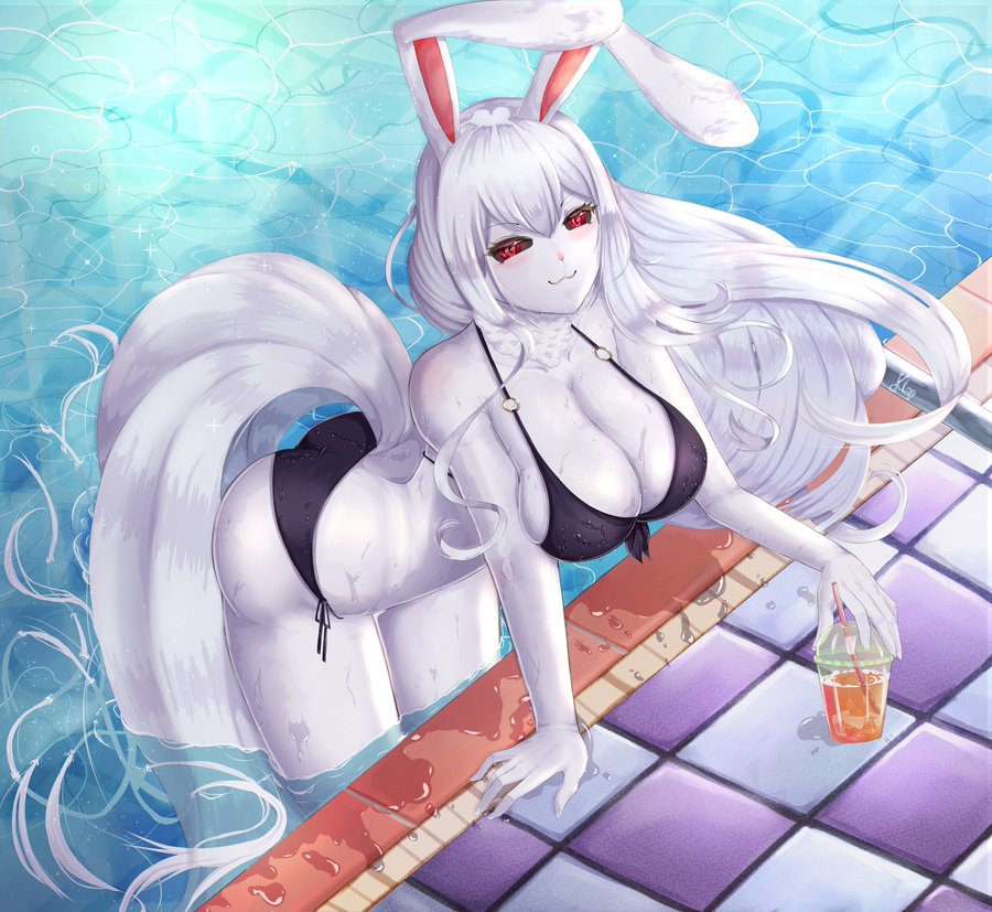Carrot (One Piece) Rule 34 Image
