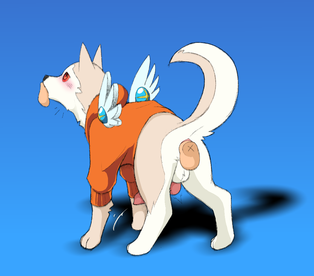 Koromaru (Megami Tensei) Rule 34 Image