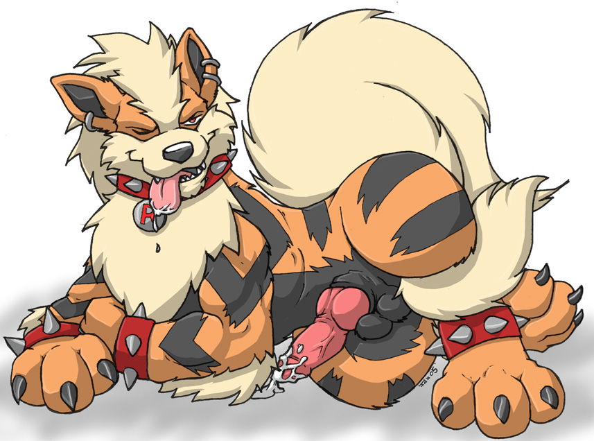 Arcanine (Pokemon) Rule 34 Image