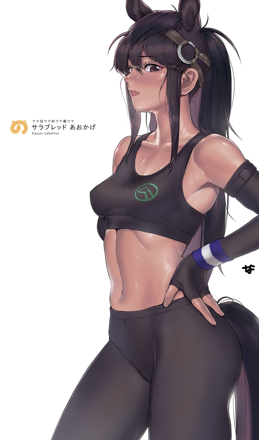 Brown Thoroughbred (Kemono Friends) Rule 34 Image