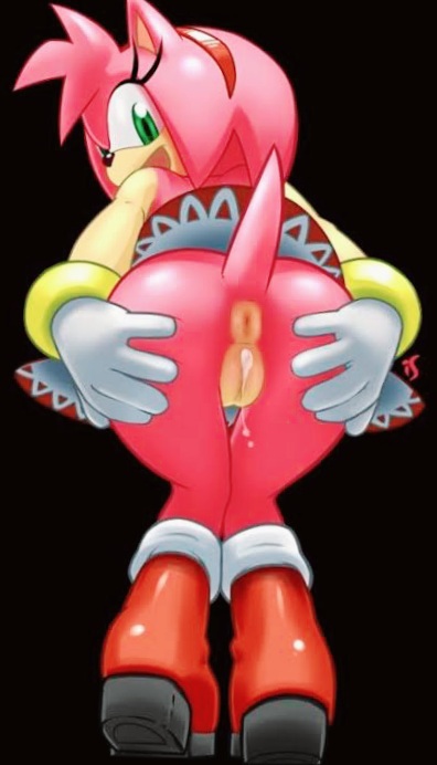 Amy Rose (Sonic (Series)) Rule 34 Image
