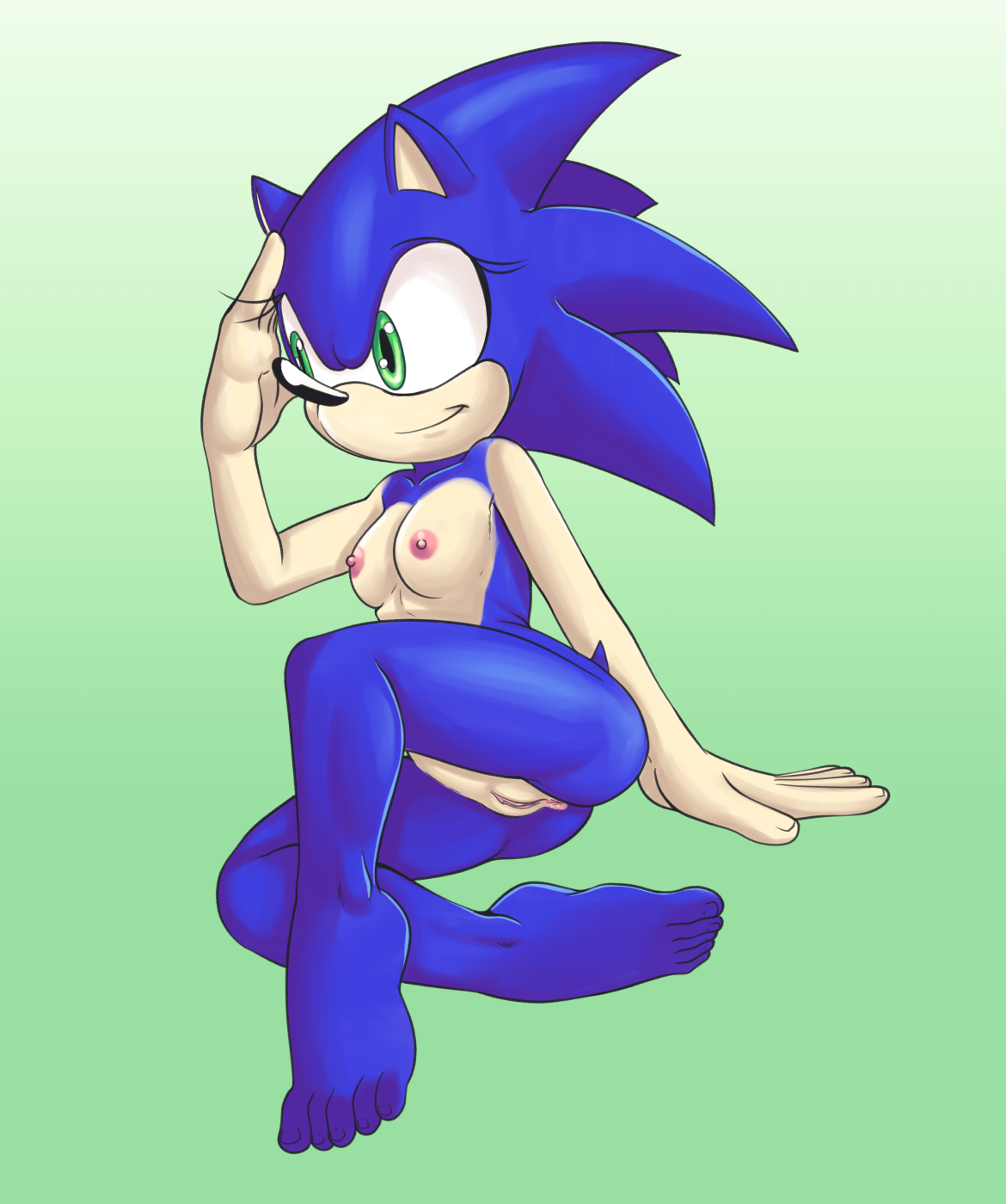 Sonic The Hedgehog (Sega) Rule 34 Image