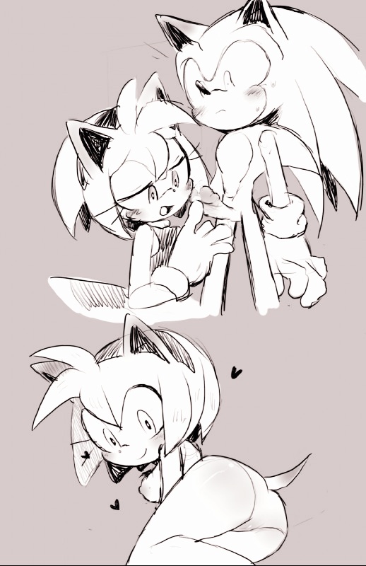 Amy Rose (Sonic (Series)) Rule 34 Image
