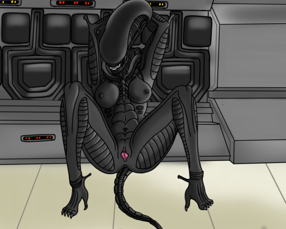 Female Xenomorph (Alien (Franchise)) Rule 34 Image