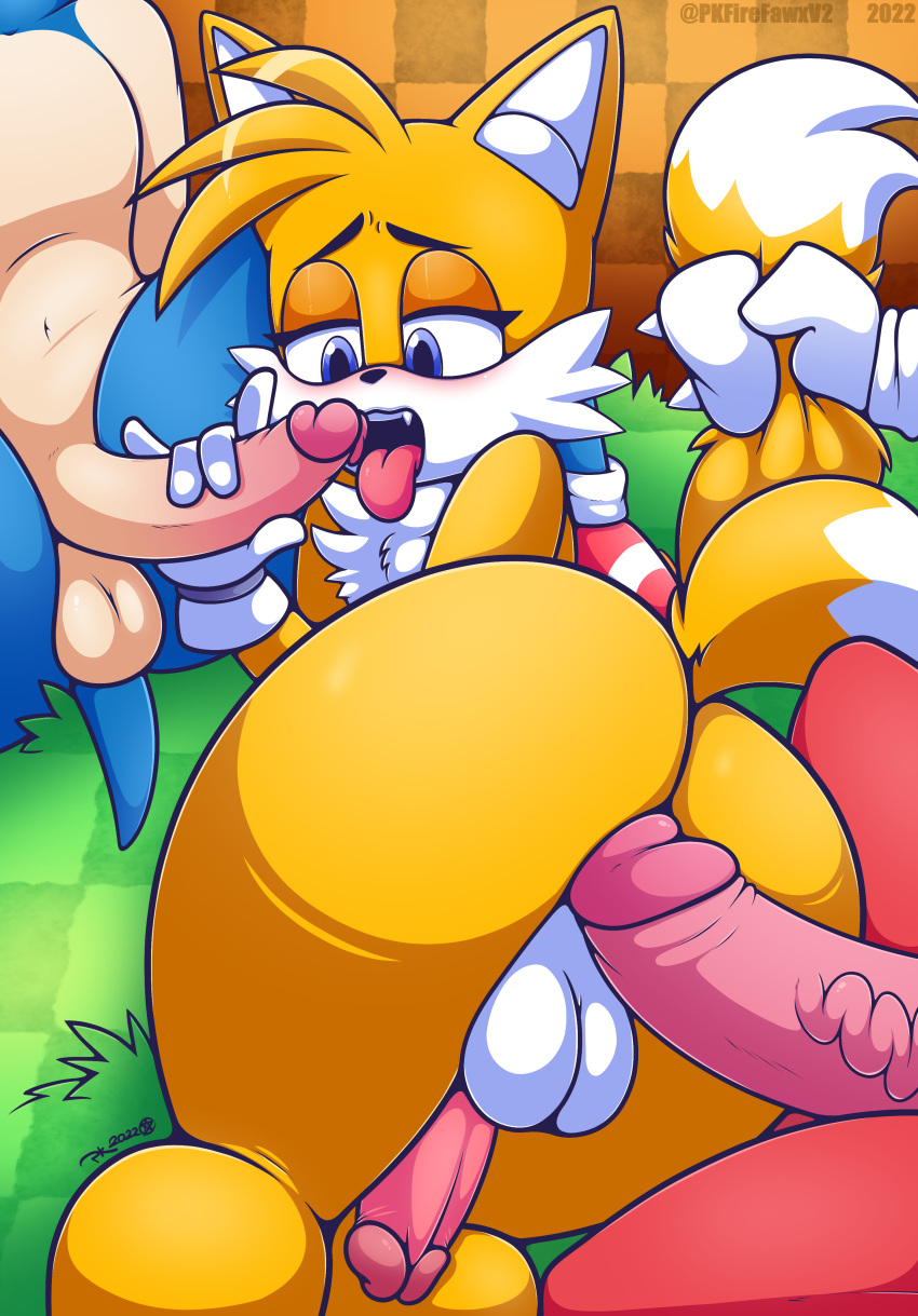 Knuckles The Echidna (Sega) Rule 34 Image