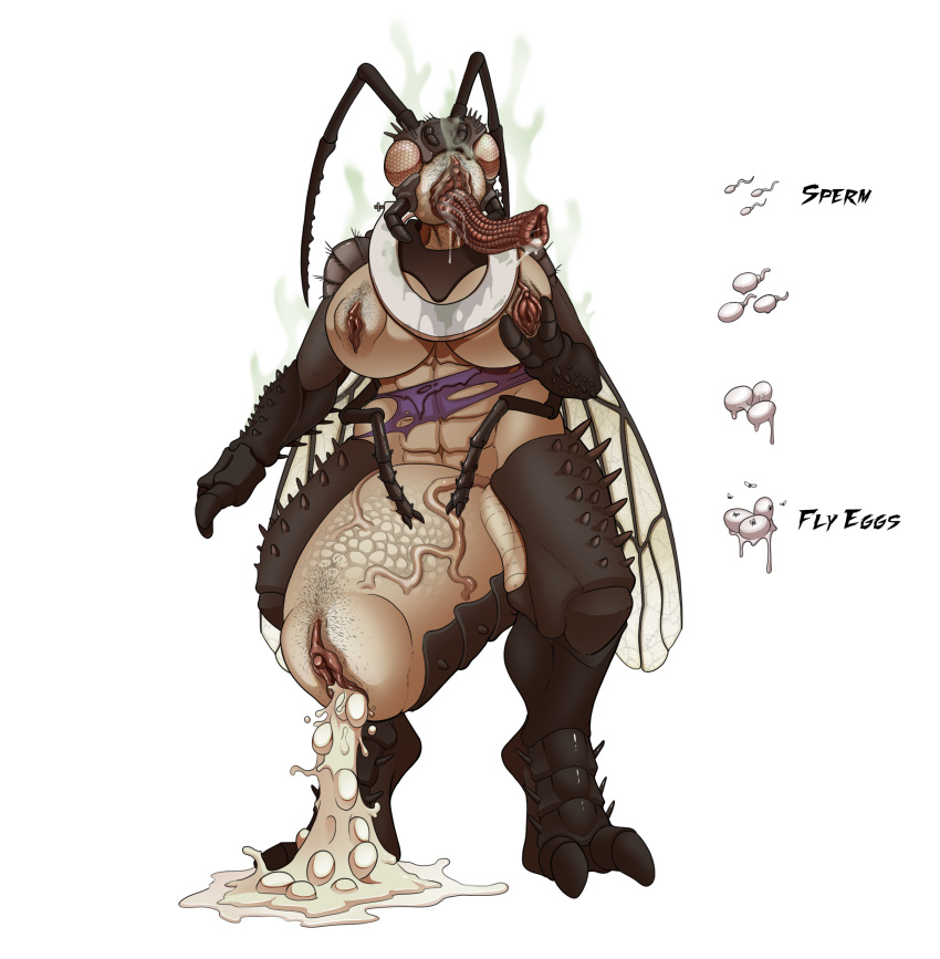 Proboscis (Anatomy) Rule 34 Image