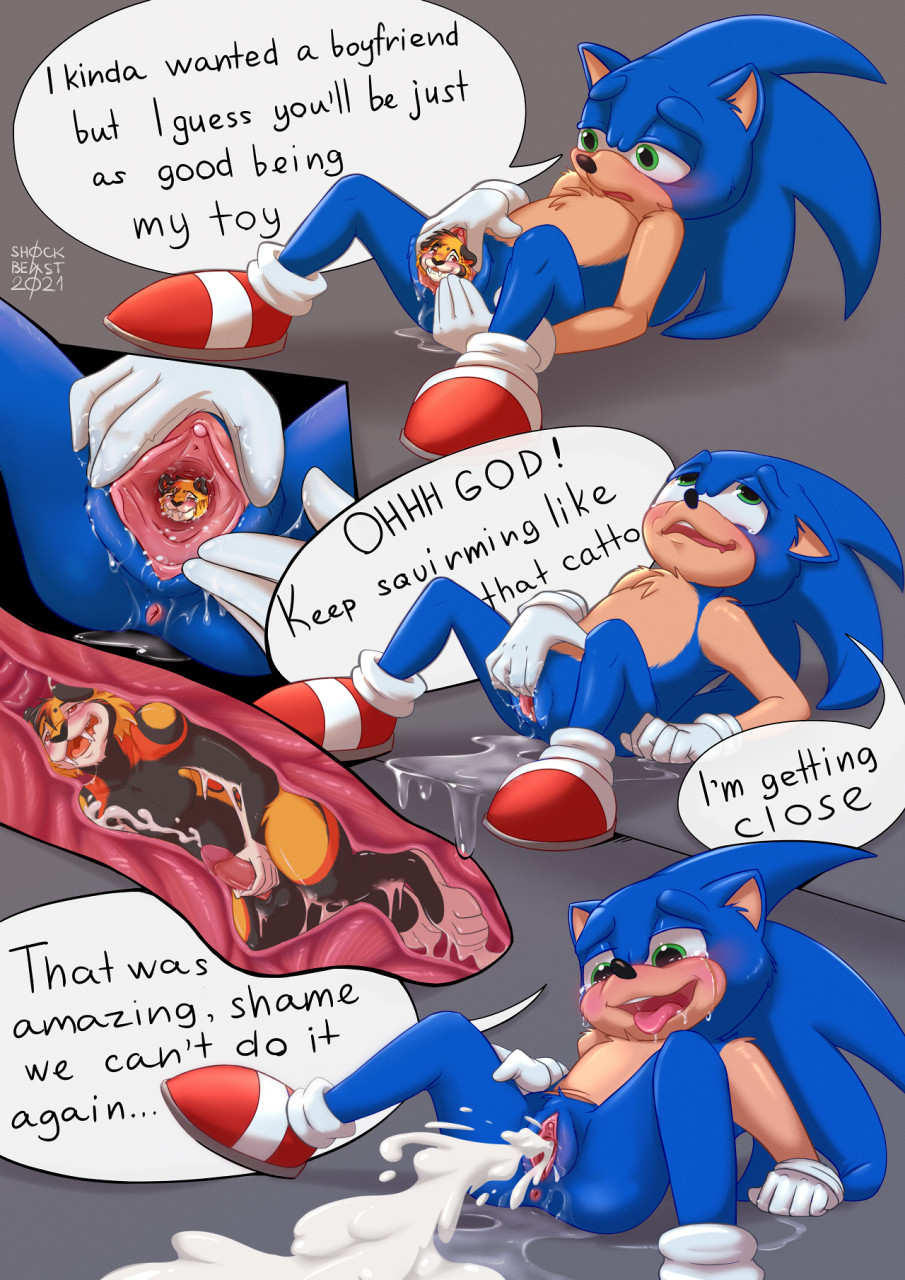Sonic The Hedgehog (Sonic (Series)) Rule 34 Image
