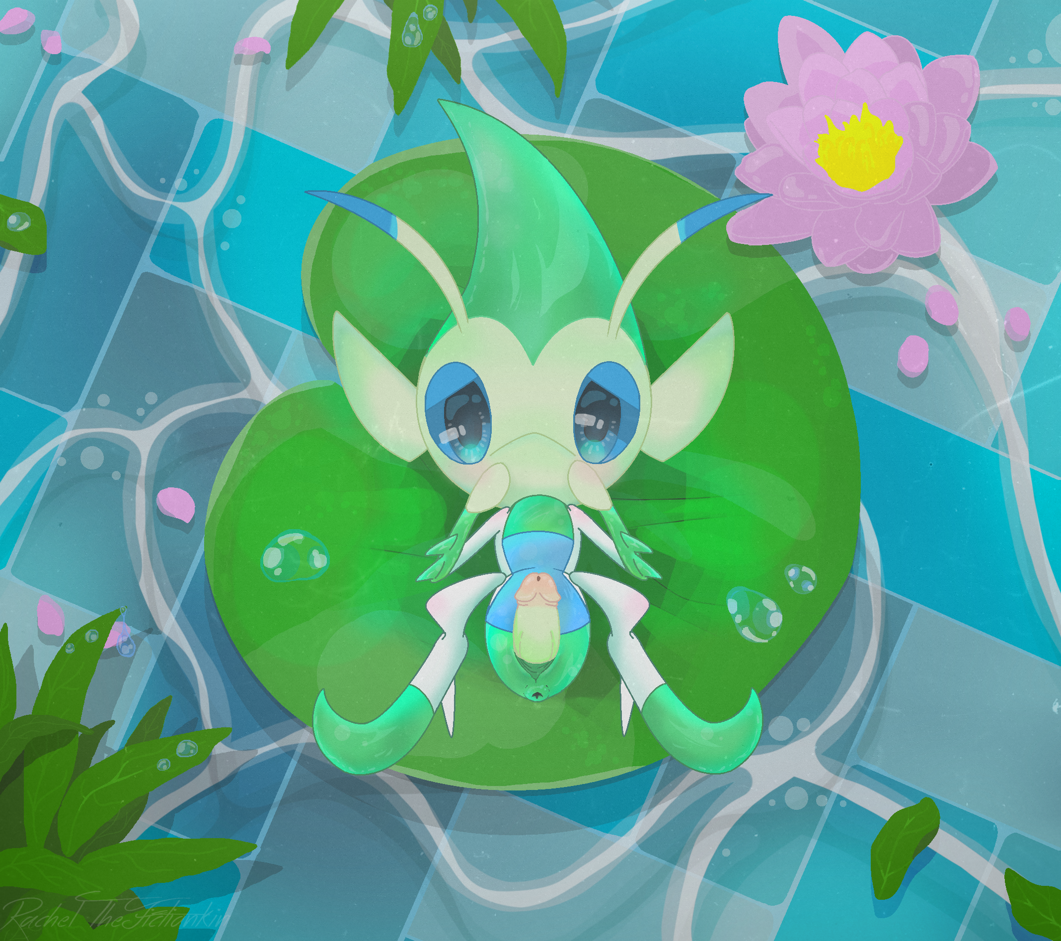 Pokemon (Species) Rule 34 Image