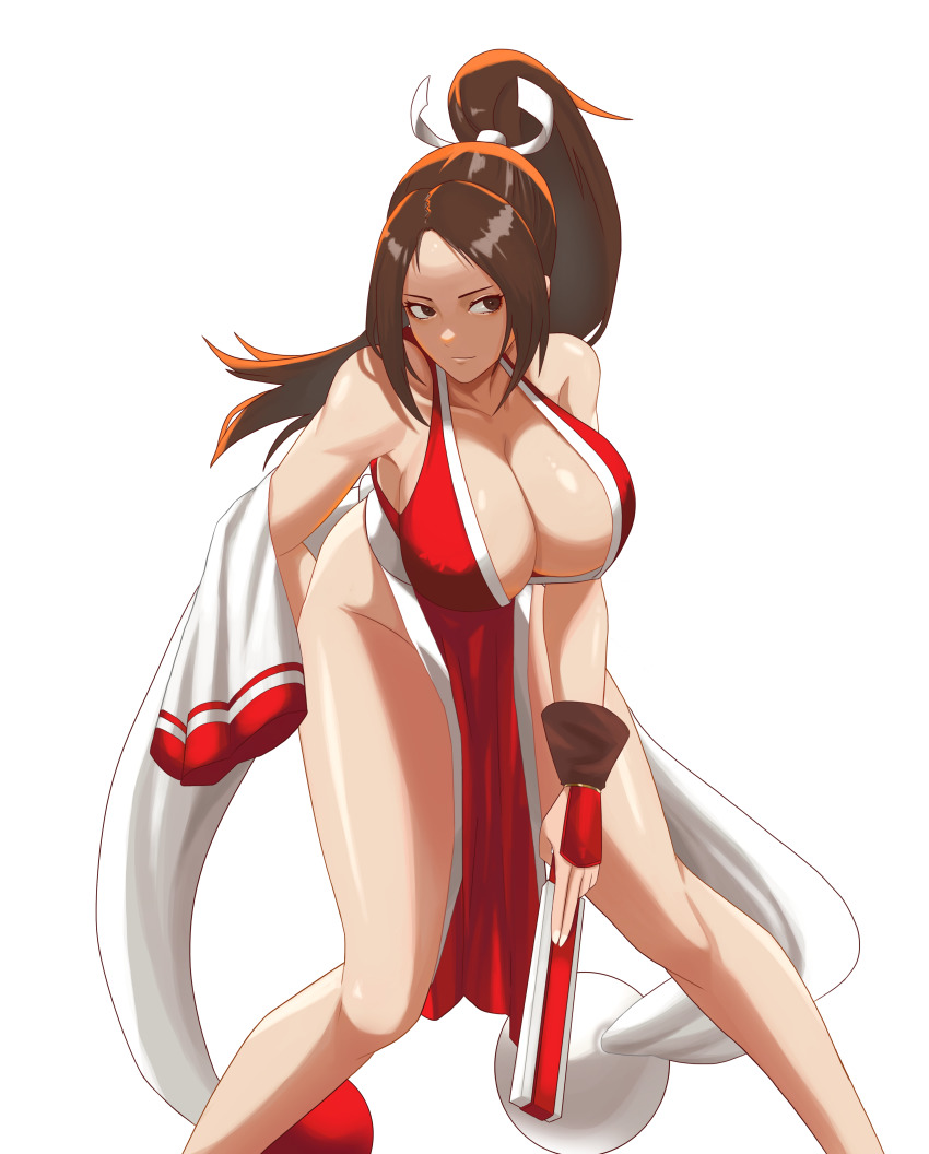 Fatal Fury Rule 34 Image