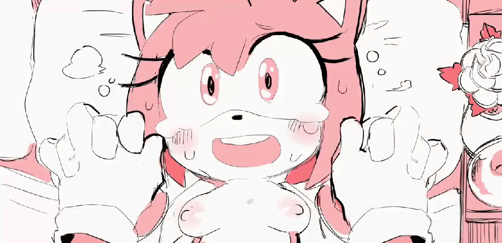 Amy Rose (Sonic (Series)) Rule 34 Image