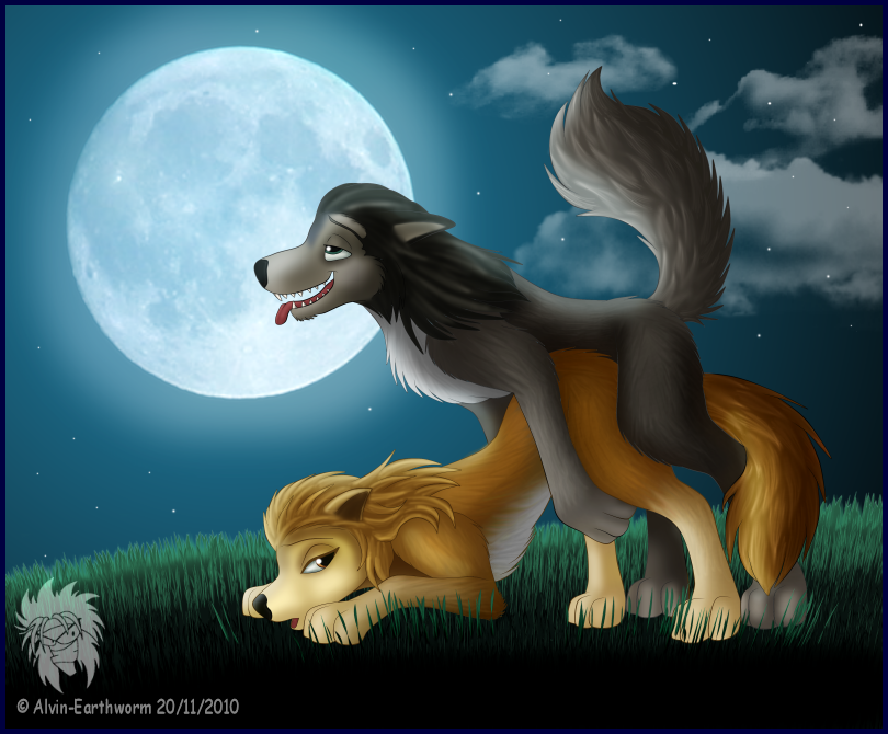 Kate (Alpha And Omega) Rule 34 Image