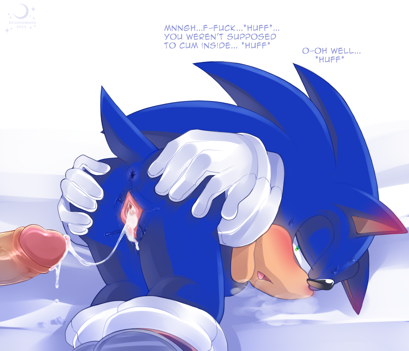 Sonic The Hedgehog (Sega) Rule 34 Image