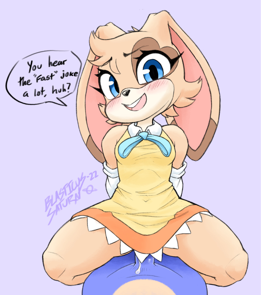 Fan Character (Sega) Rule 34 Image