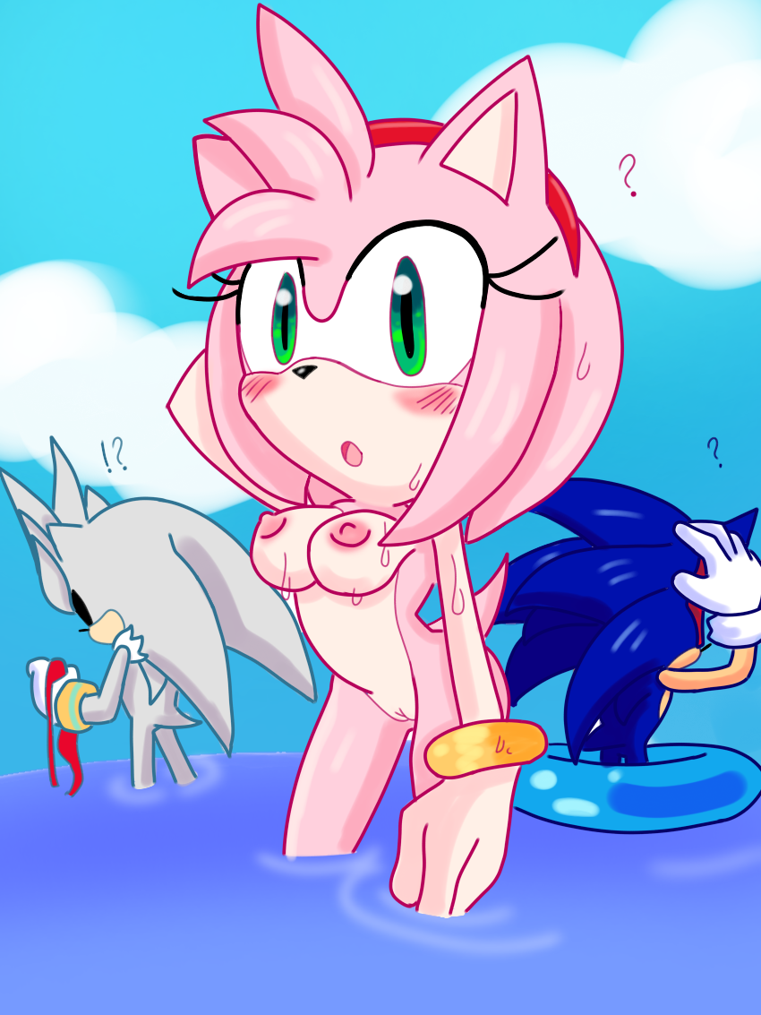 Amy Rose (Sonic (Series)) Rule 34 Image