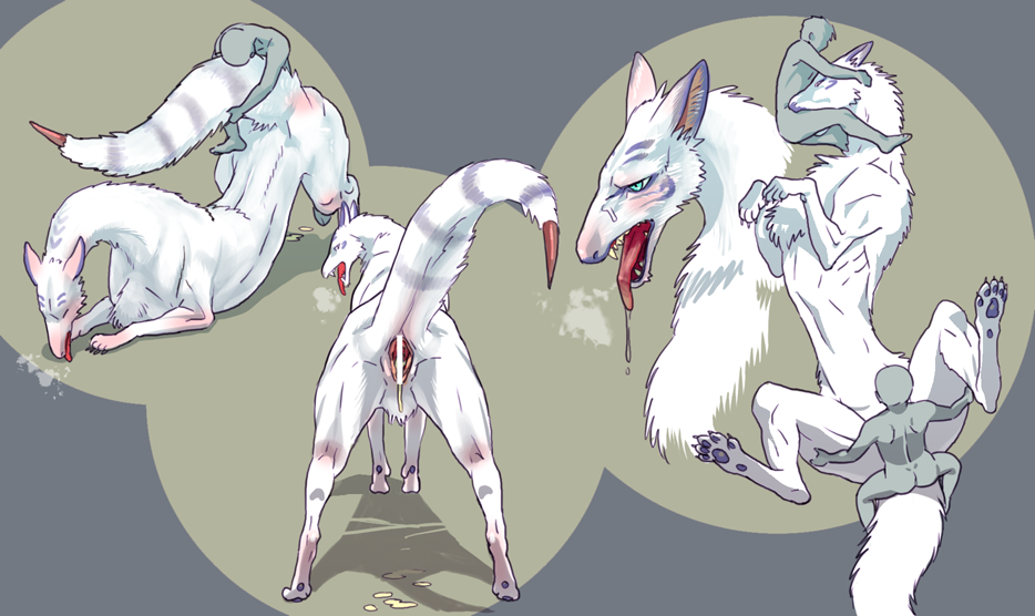 Animal Ear Rule 34 Image