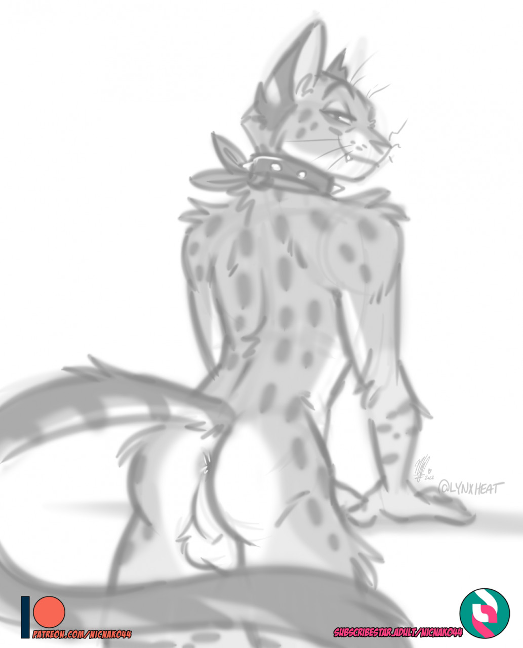 Anthro Rule 34 Image