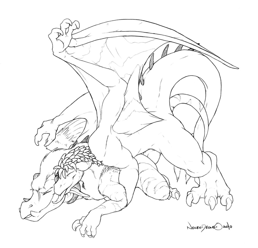Dragon Rule 34 Image