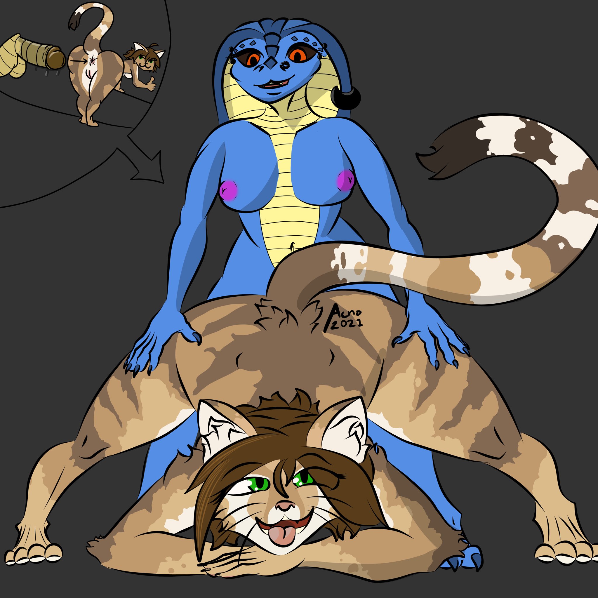 Helia Peppercats (Wrinklynewt) Rule 34 Image