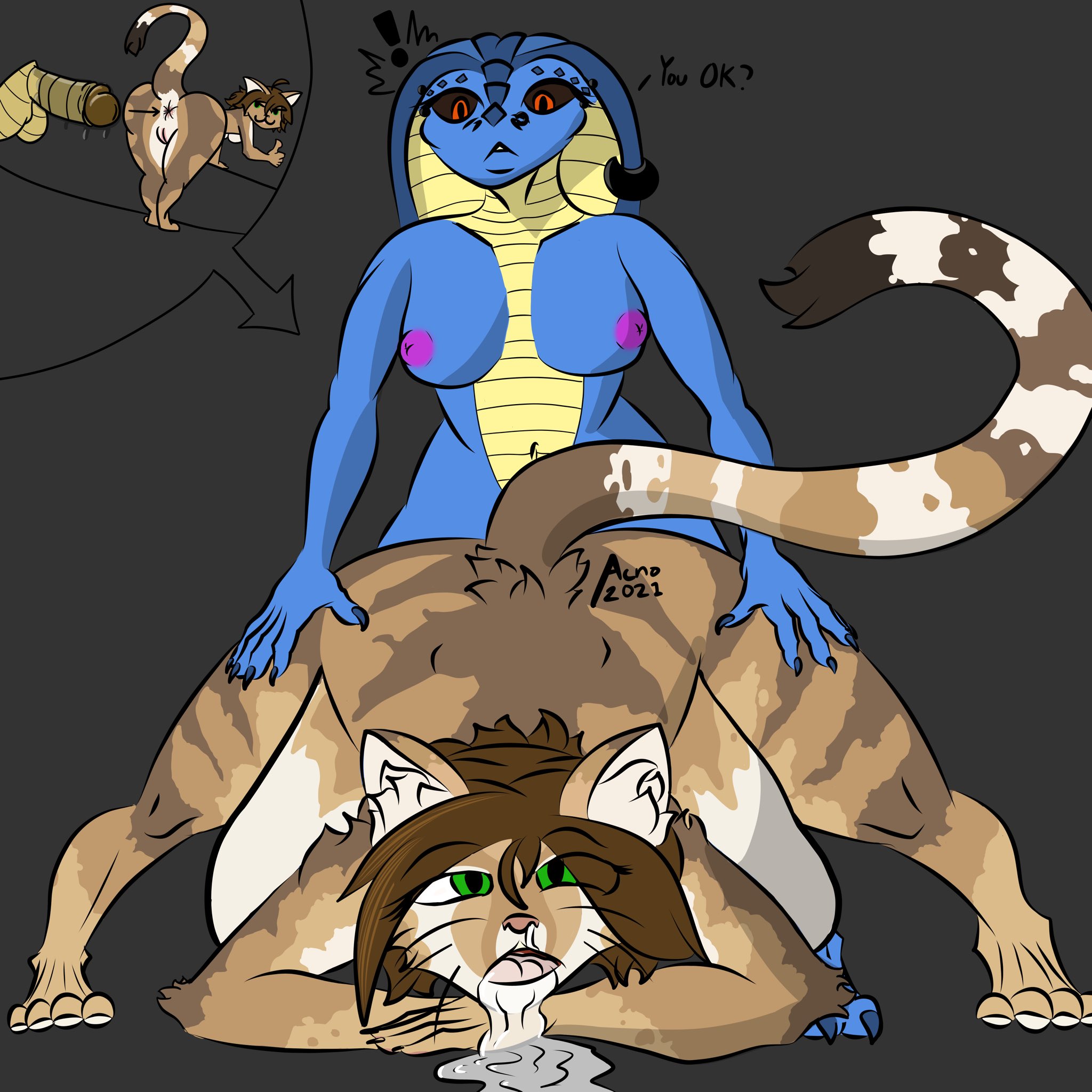 Helia Peppercats (Wrinklynewt) Rule 34 Image