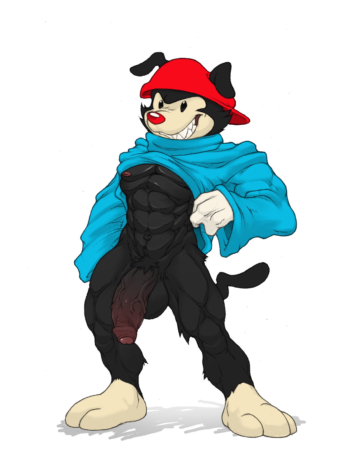 Wakko Warner (Animaniacs) Rule 34 Image