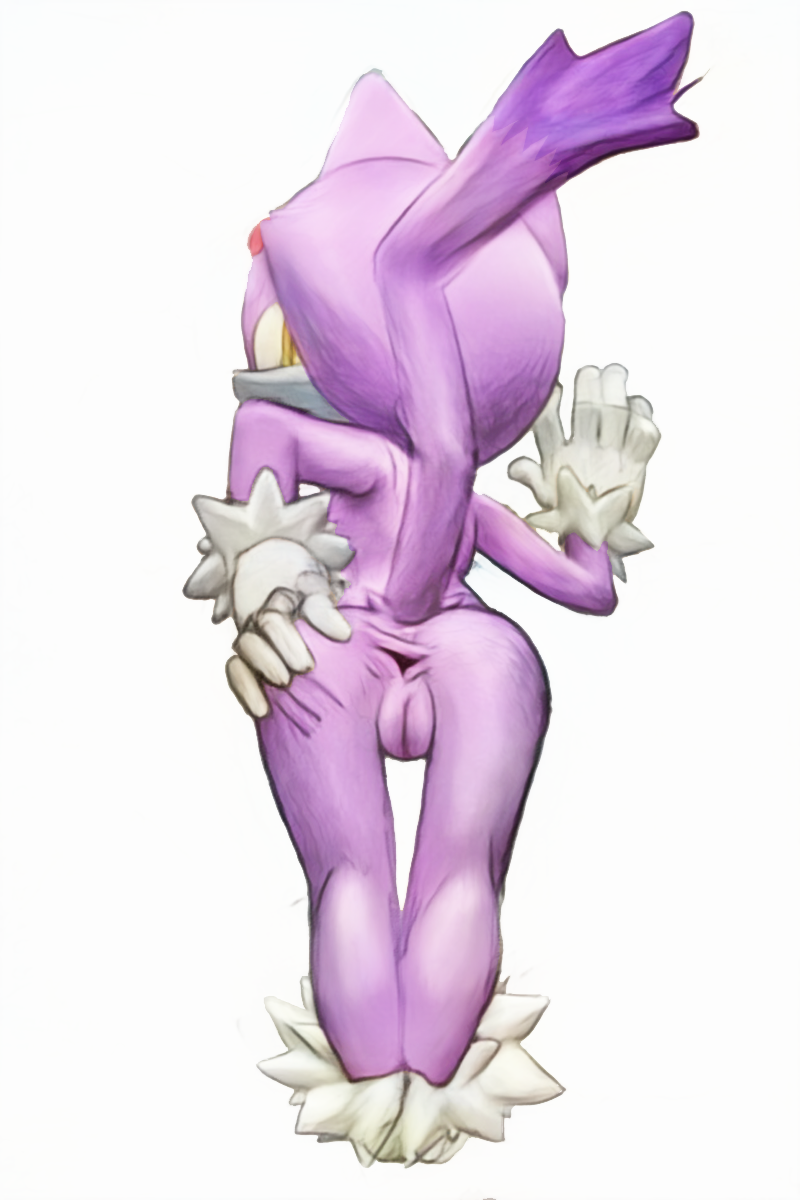 Blaze The Cat (Sega) Rule 34 Image