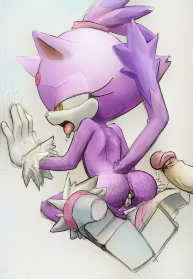 Blaze The Cat (Sega) Rule 34 Image