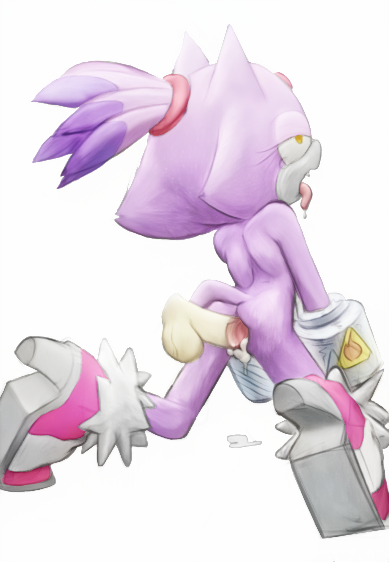 Blaze The Cat (Sega) Rule 34 Image