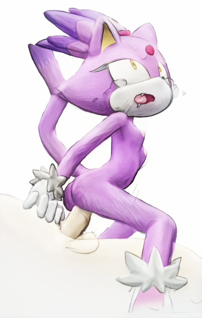 Blaze The Cat (Sega) Rule 34 Image