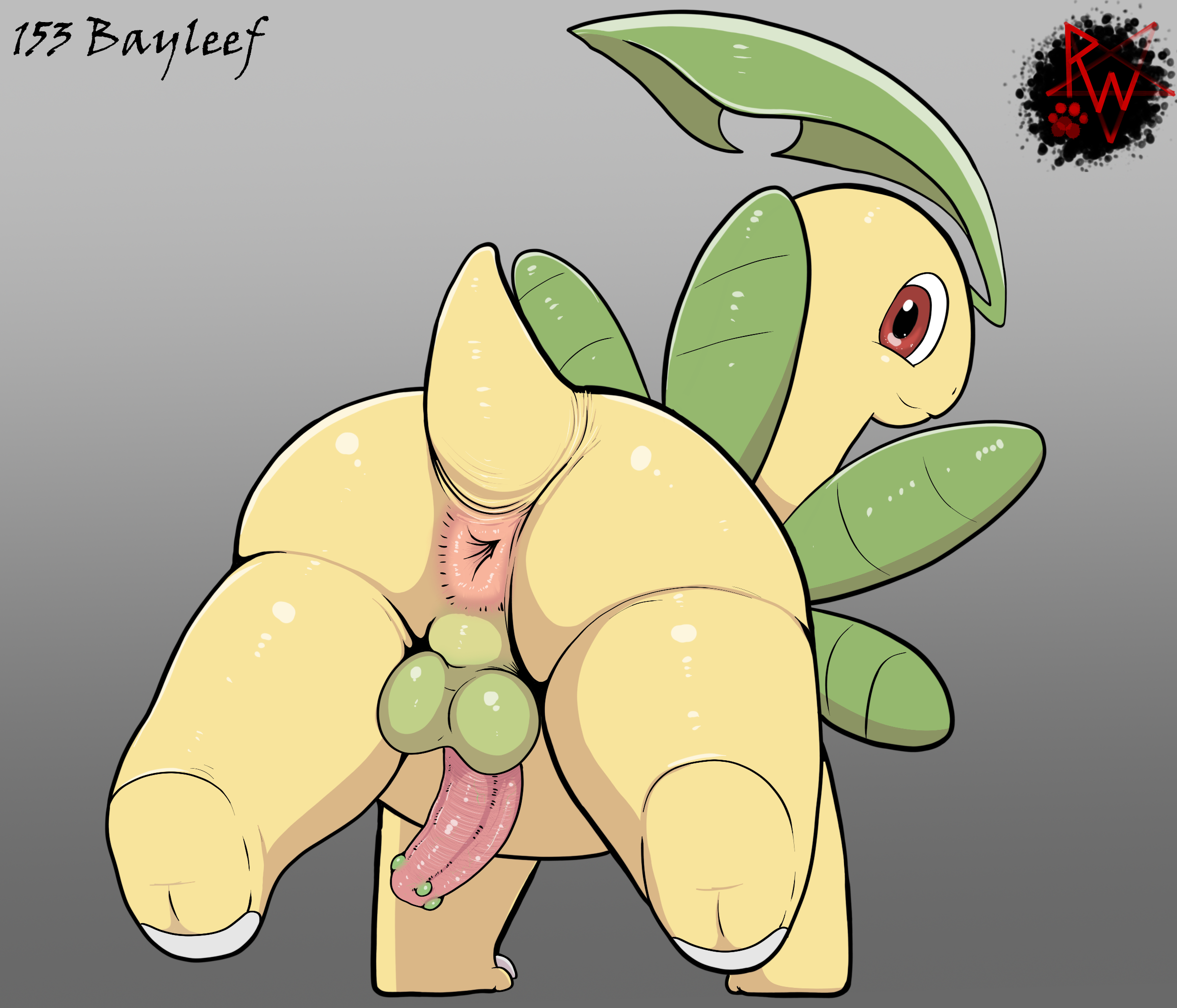 Bayleef (Nintendo) Rule 34 Image