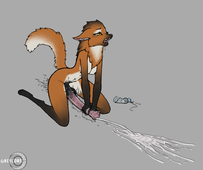 Luciana Rule 34 Image