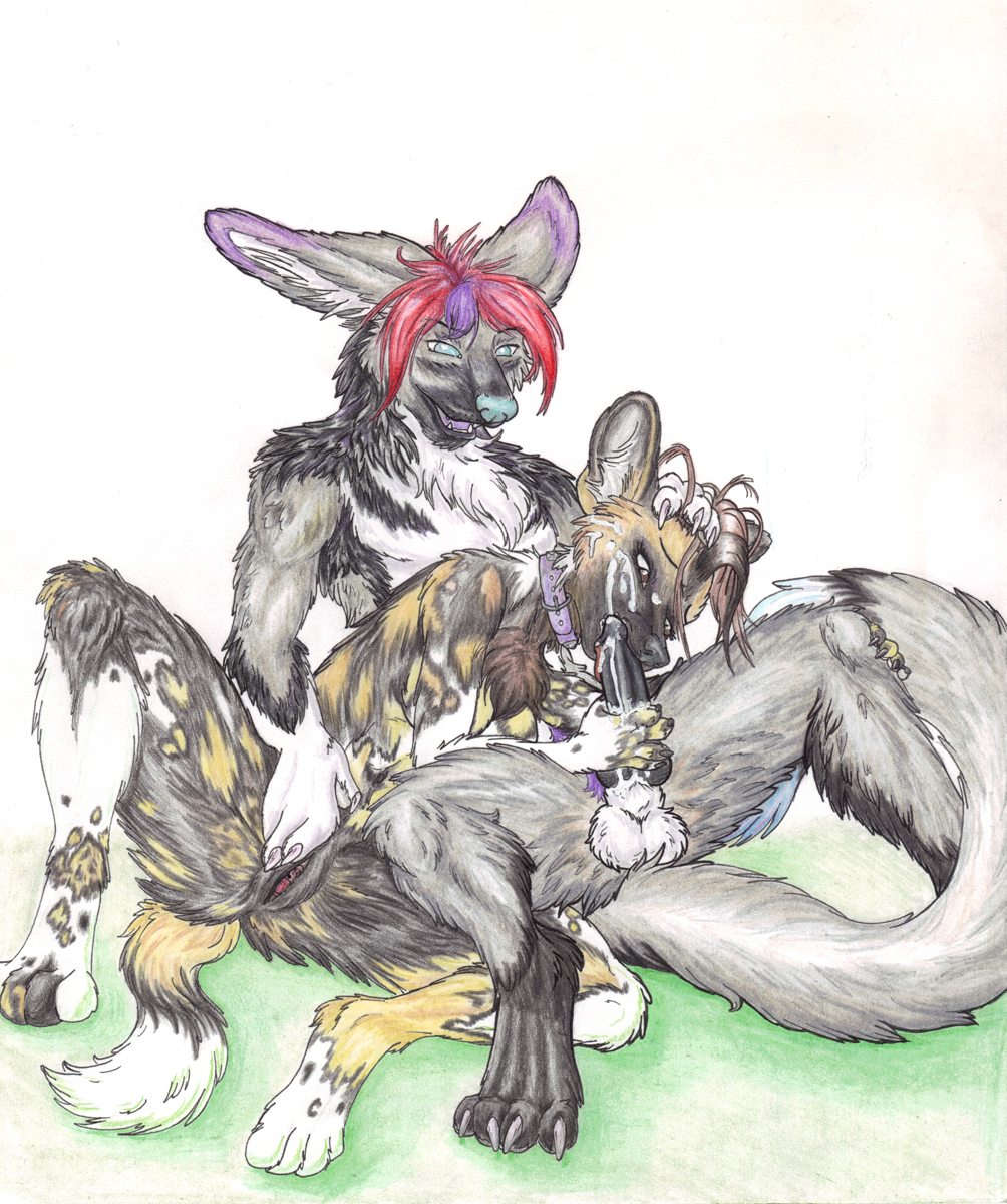 Canine Rule 34 Image