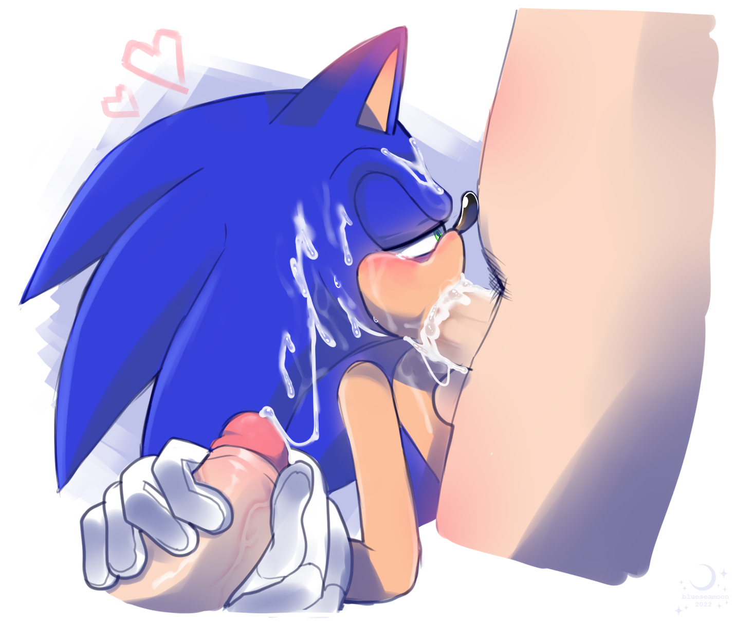 Sonic The Hedgehog (Sega) Rule 34 Image
