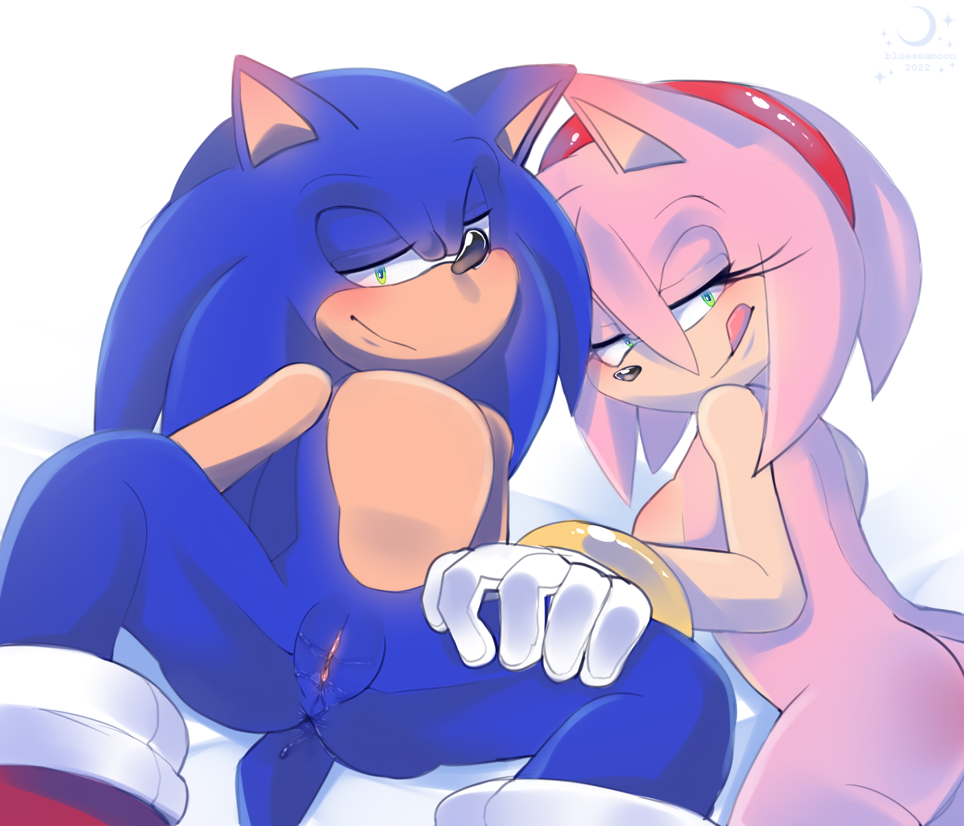 Amy Rose (Sega) Rule 34 Image
