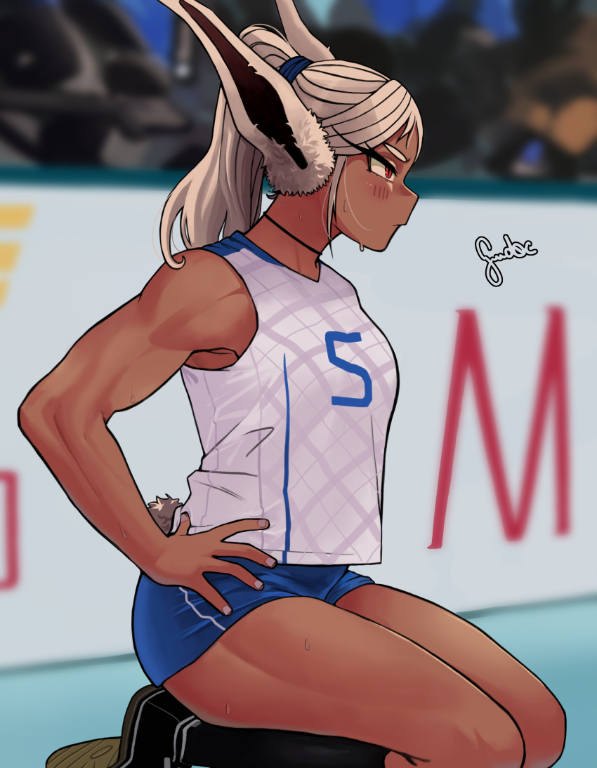 Mirko (Boku No Hero Academia) Rule 34 Image