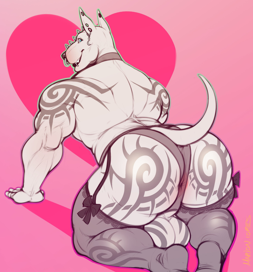 Bohagon (Original) Rule 34 Image