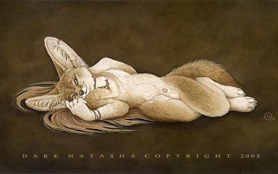2003 Rule 34 Image