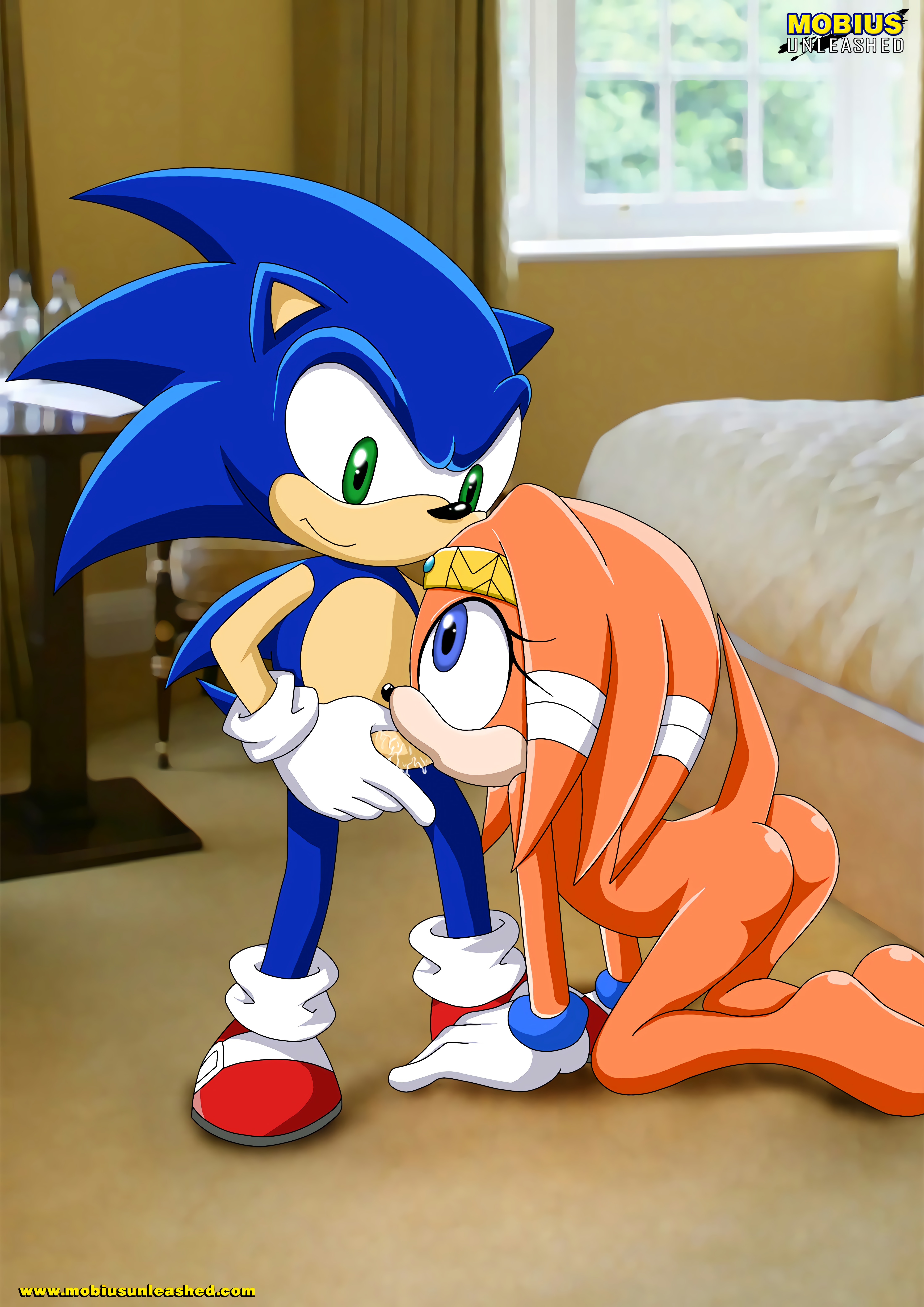 Sonic The Hedgehog (Sega) Rule 34 Image