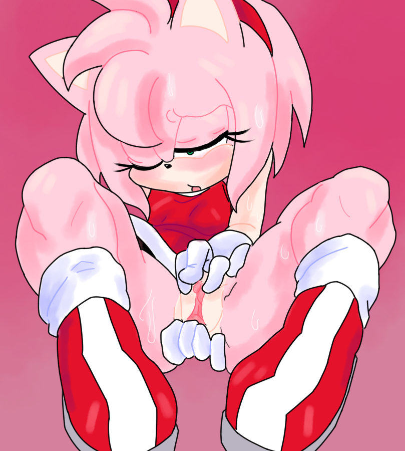 Amy Rose (Sonic (Series)) Rule 34 Image