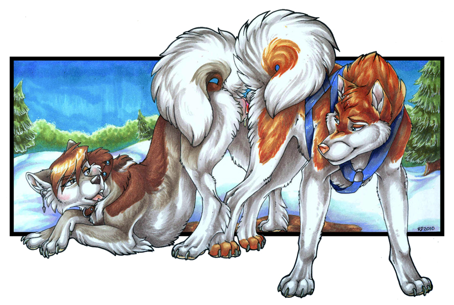 2010 Rule 34 Image