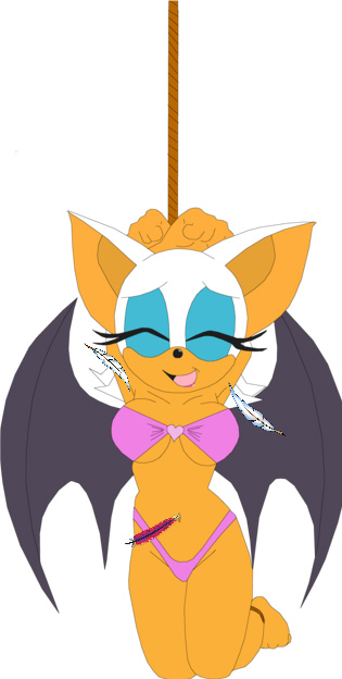 Rouge The Bat (Sonic (Series)) Rule 34 Image