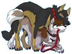 Wielder (Character) Rule 34 Image