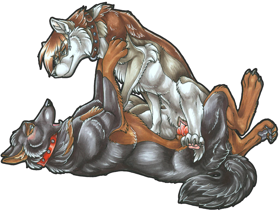 2010 Rule 34 Image