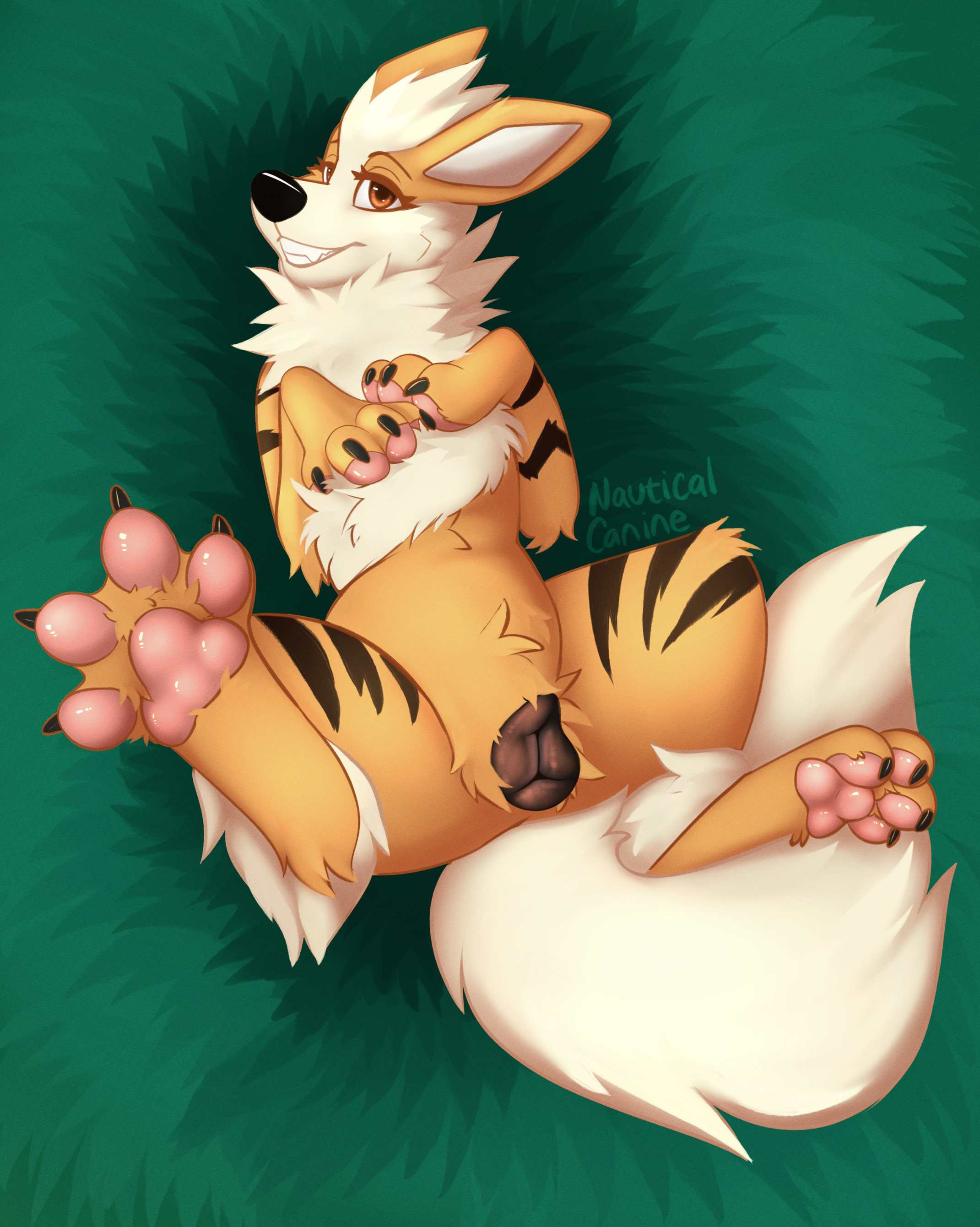 Arcanine (Nintendo) Rule 34 Image