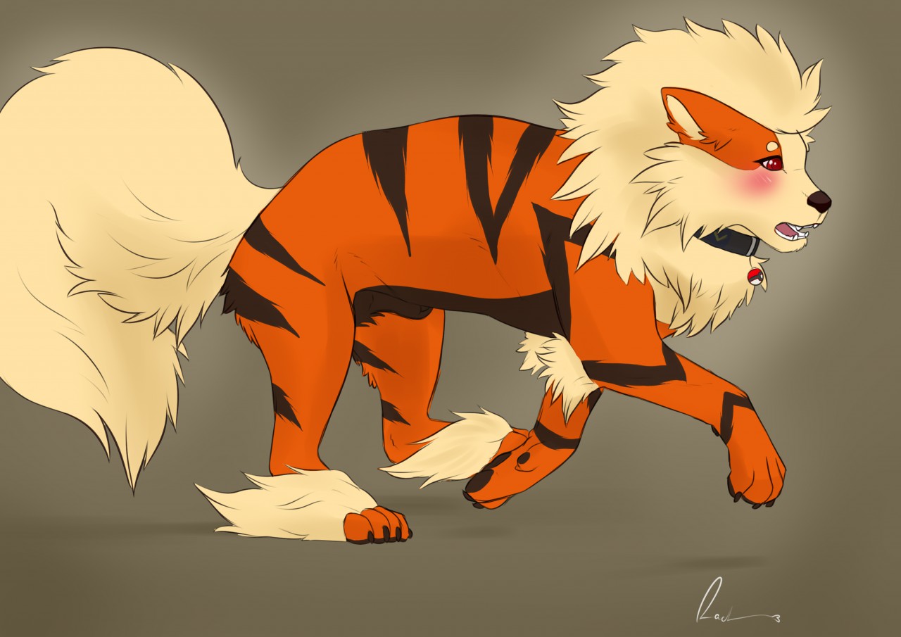 Arcanine (Nintendo) Rule 34 Image