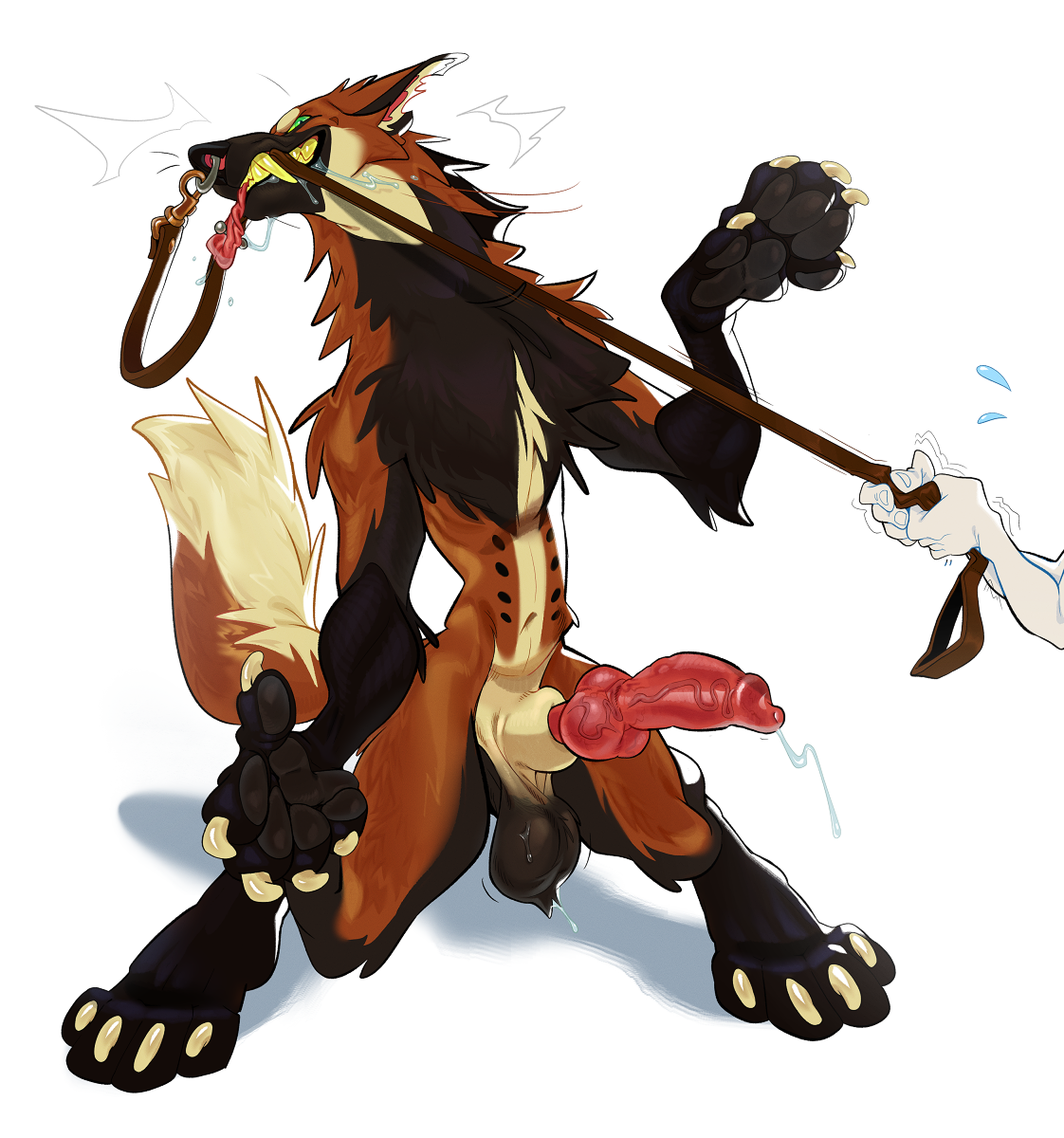 Animal Genitalia Rule 34 Image