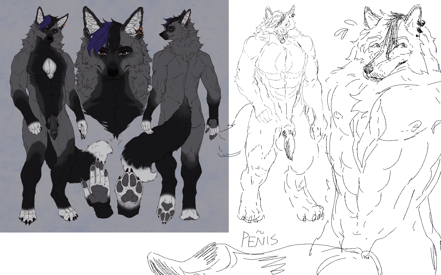 Canid Rule 34 Image